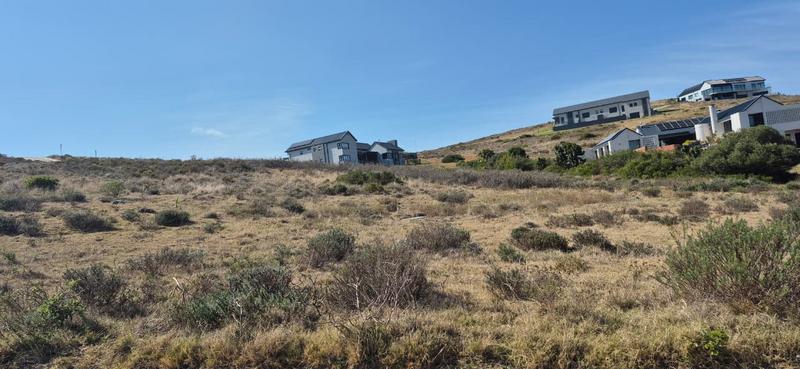 0 Bedroom Property for Sale in Outeniquasbosch Western Cape